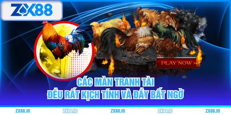 Các màn tranh tài đều rất kịch tính và đầy bất ngờ
